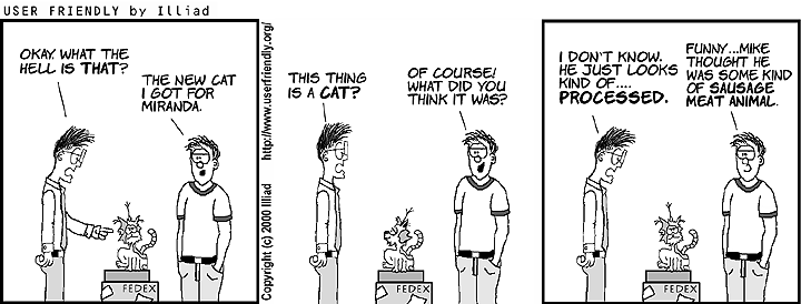 Strip for Feb 21, 2022