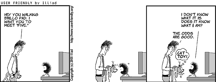 Strip for Feb 23, 2022